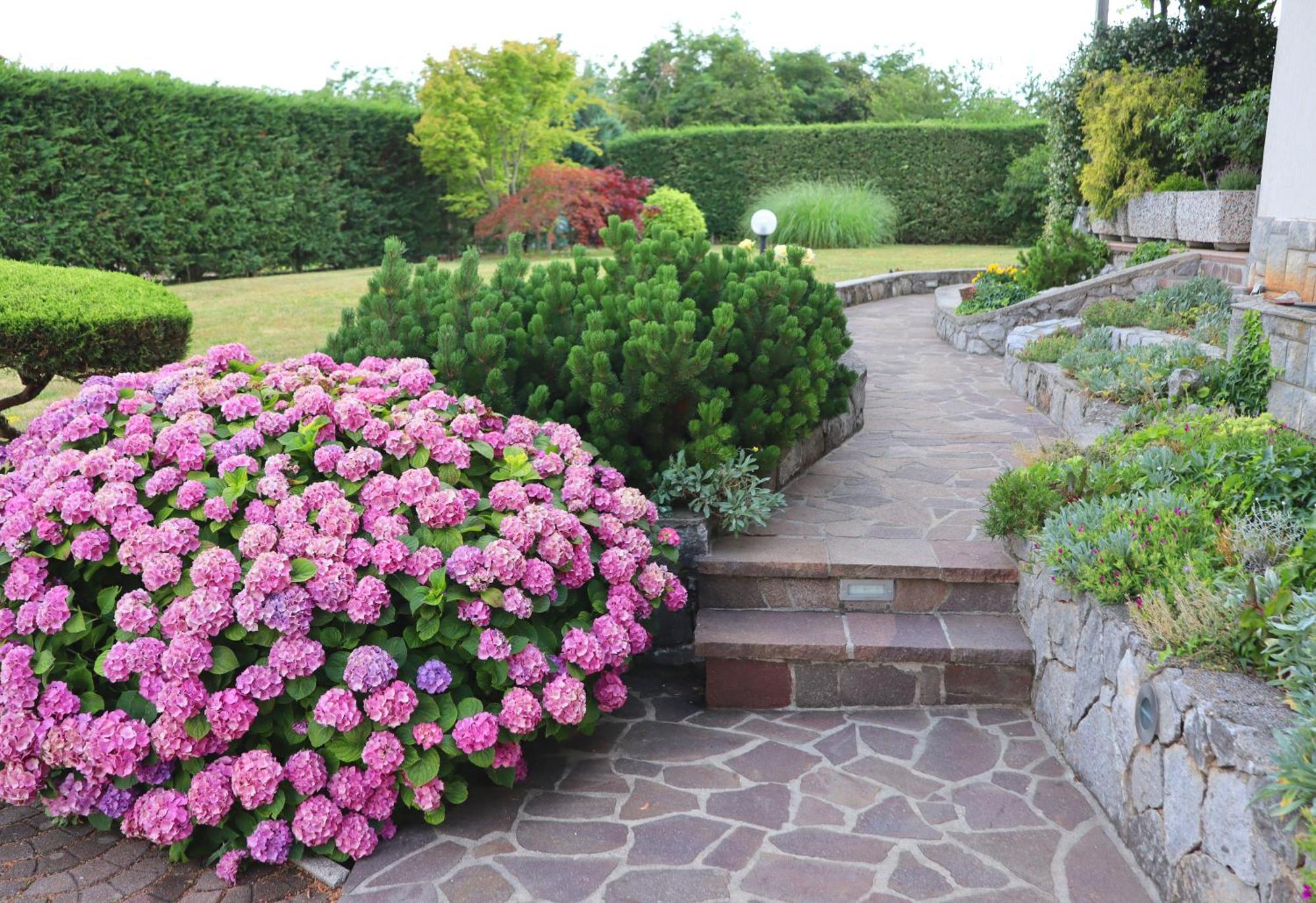 Garden Villa Stanjel Bagian luar foto