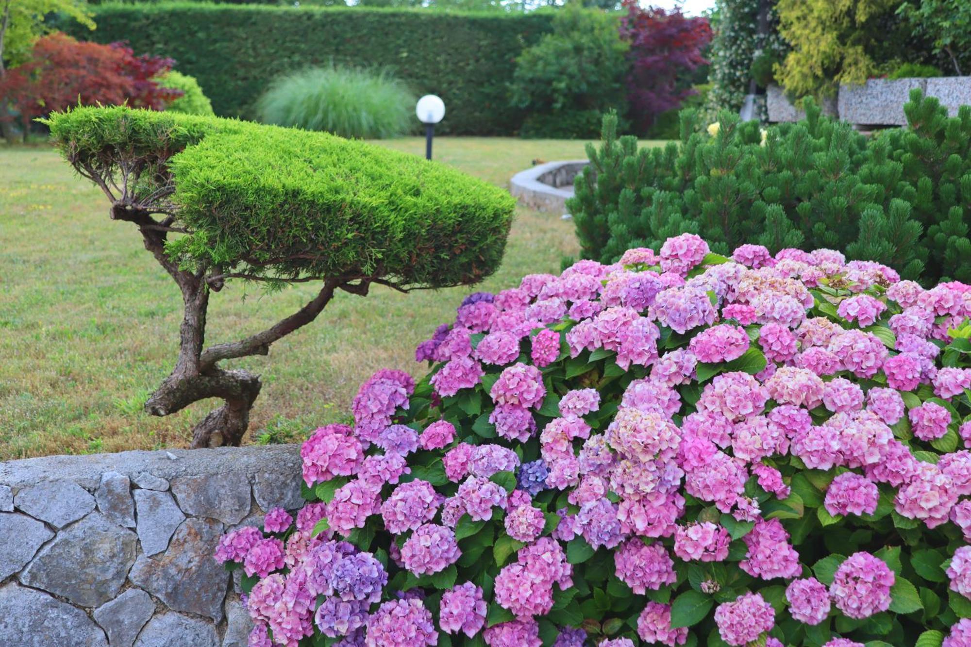 Garden Villa Stanjel Bagian luar foto