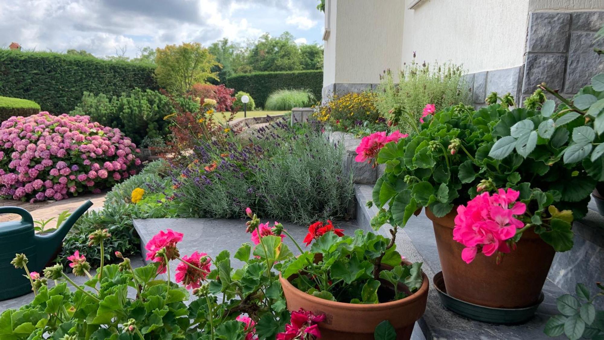 Garden Villa Stanjel Bagian luar foto
